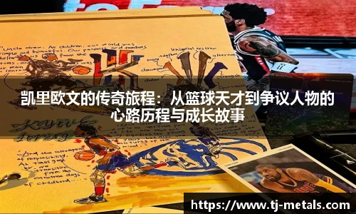 v66体育官网