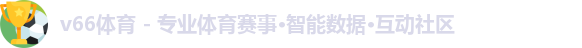 v66体育